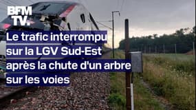  Le trafic interrompu sur la LGV Sud-Est après la chute d'un arbre sur les voies 