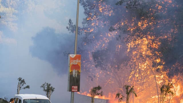 Incendies en Israël: 50.000 personnes évacuées à Haïfa