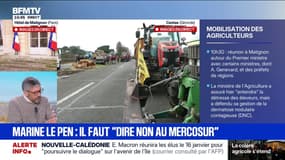 Crise agricole: "Je condamne évidement toutes les menaces envers les vétérinaires" affirme François Walraet, secrétaire général de la Coordination Rurale
