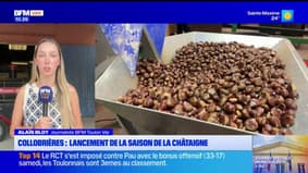 Collobrières : Lancement de la saison de la châtaigne 