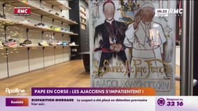 Pape en Corse: les Ajacciens s'impatientent 