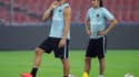 Zlatan Ibrahimovic et Edinson Cavani