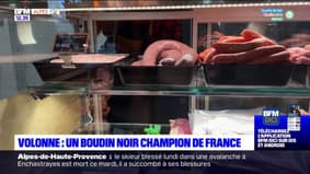 Alpes-de-Haute-Provence : le boudin noir de Volonne champion de France