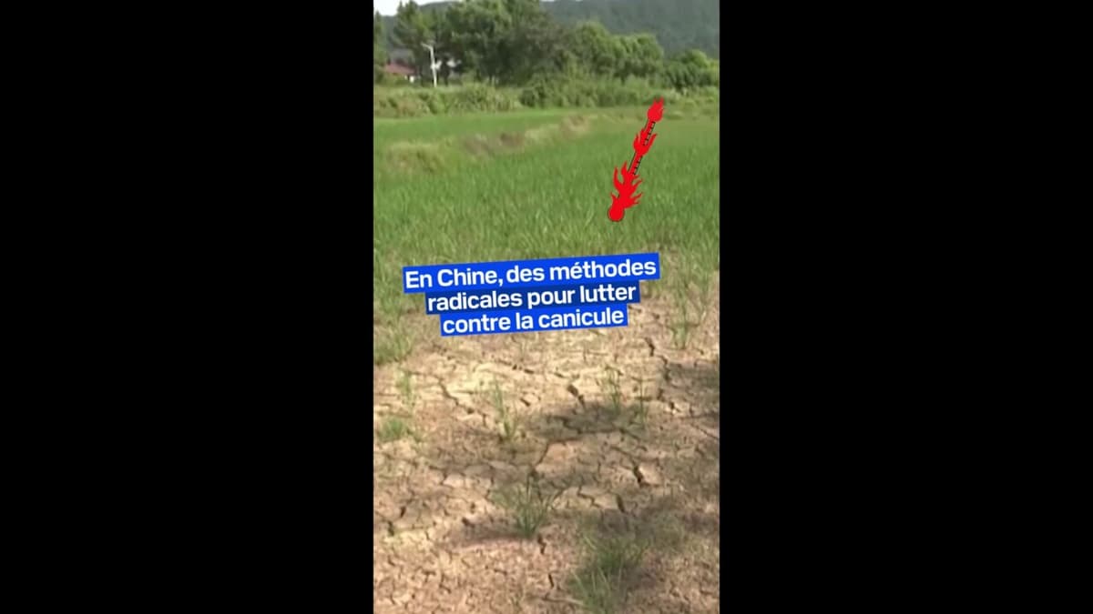 placeholder video