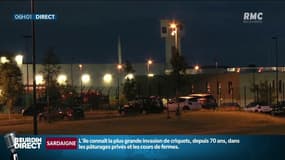 Condé-sur-Sarthe: qui est Francis Dorffer, détenu multirécidiviste décrit comme le "champion de la prise d'otage carcérale"?