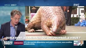 Nicolas Poincaré : Quels sont les animaux qui ont propagé le virus ? - 31/03
