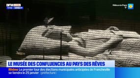 Lyon: le pays des rêves s'installe au musée des Confluences