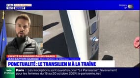 Ponctualité en Île-de-France: la Transilien N à la traîne pendant encore "10 mois"?