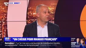 Sainte-Soline: "On a besoin de stocker de l'eau" estime Arnaud Rousseau (FNSEA)