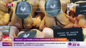 La volaille détrône le porc et devient la viande la plus consommée en France 