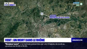 Vents violents: un homme tué par la chute d'un arbre dans la Métropole de Lyon