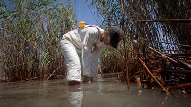 Un membre de Greenpeace effectue des prélèvements dans les marécages en Louisiane. Du brut lourd provenant de la marée noire dans le golfe du Mexique a atteint les bayous de cet Etat, a annoncé mercredi son gouverneur, Bobby Jindal. /Photo prise le 19 mai
