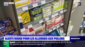Alpes du Sud: alerte rouge pour les allergies aux pollens