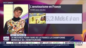 Luxe: comment faire de la France la championne mondiale de l'œnotourisme ? - 21/11