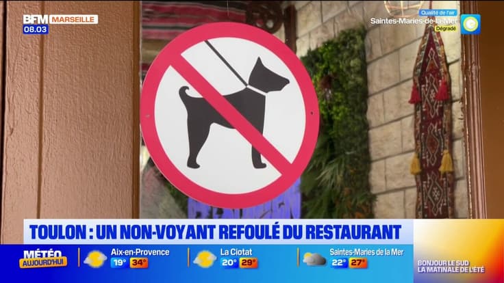 Toulon : un non-voyant refoulé d'un restaurant à cause de son chien
