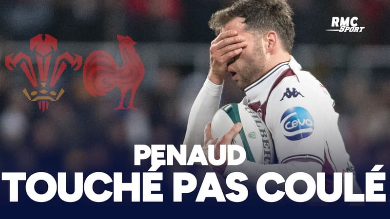 UBB : "Penaud a été touché" Lucu raconte sa disgrâce avec le XV de France