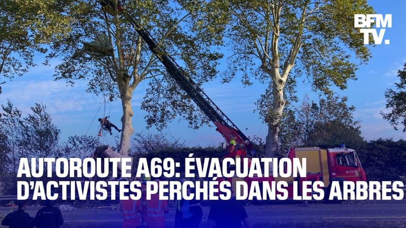 TANGUY DE BFM - Autoroute A69: les forces de l'ordre procèdent à l'évacuation d'activistes perchés dans les arbres entre Castres et Toulouse