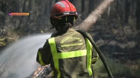 "C'est inquiétant": une centaine de pompiers mobilisés contre un incendie précoce en Bretagne