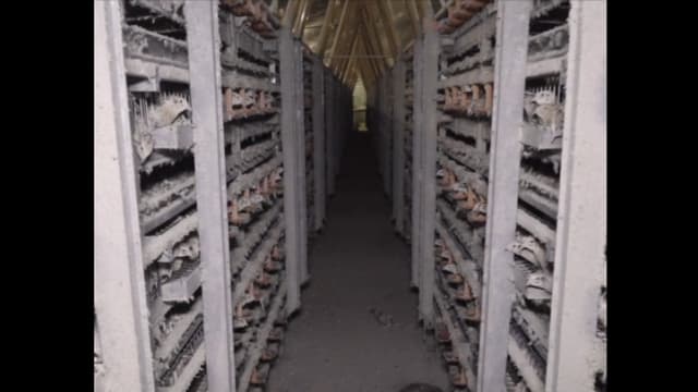Image tournée par l'association L214 dans l'entreprise Drôme Cailles à Montoison, dans la Drôme.