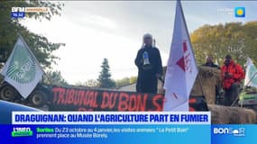 JT du Sud du mercredi 27 novembre