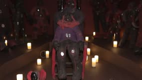 L’exposition "Zombis. La mort n’est pas une fin ?"  propose une plongée aux racines anthropologiques de la zombification au Quai Branly