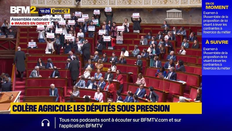 Loi agricole Duplomb: des députés du groupe LFI brandissent des affiches dans l'hémicycle