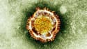 L'Arabie saoudite a annoncé samedi 13 nouveaux décès dus au coronavirus MERS, portant à 133 le nombre de victimes du virus dans le royaume.
