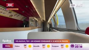 Bijoux volés dans un TGV : un homme condamné à 18 mois de prison 