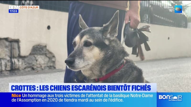 L'Escarène: les chiens bientôt munis d'un passeport génétique pour lutter contre les déjections sur la voie publique