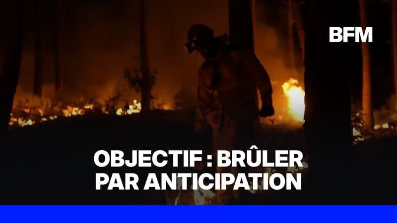 Incendie en Gironde: qu'est-ce que le feu tactique, une technique pour ralentir les flammes?