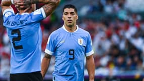 Luis Suarez avec l'Uruguay pendant le Mondial 2022