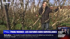 La perspective du prochain redoux inquiète les agriculteurs