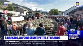 Barcelonnette: la foire de la Saint-Michel séduit les petits et grands