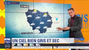 Météo Paris-Ile de France du 30 novembre: Un ciel bien gris et sec