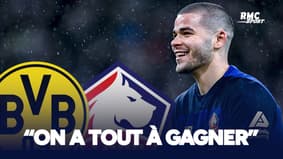 Lille 1-0 Montpellier : "On a tout à gagner", Chevalier serein avant la réception de Dortmund