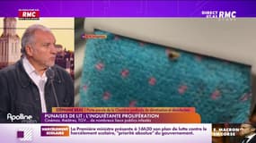Les invités du jour - Punaises de lit : "Il y en a de plus en plus et partout !"