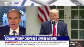 Donald Trump suspend la contribution américaine à l'OMS 