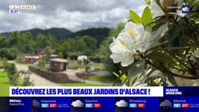 Alsace: une fois par an, les plus beaux jardins du Grand Est sont ouverts au public, découvrez deux d'entre eux