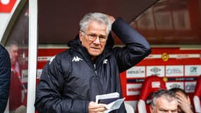 Laszlo Boloni avec Metz en 2024.