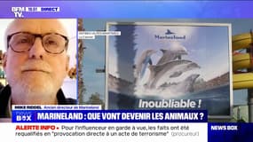 Fermeture de Marineland: les animaux "ne sont pas malheureux", regrette Mike Riddel, ancien directeur du parc