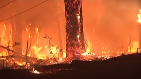 En Australie, les pompiers ne parviennent pas à maîtriser ces flammes géantes 