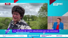 RMC s’engage avec vous : Une éleveuse de vaches abandonnée par son assurance - 04/06