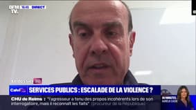 Violences: "Nos sapeurs-pompiers sont agressés verbalement, voire physiquement" déplore le Lieutenant-colonel Michel Santamaria