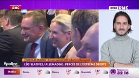Législatives allemandes: percée record de l'extrême droite 