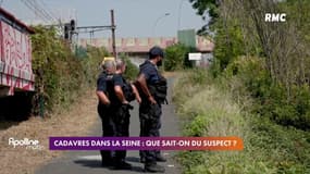 Cadavres retrouvés dans la Seine à Choisy-le-Roi: ce que l'on sait du profil du suspect 