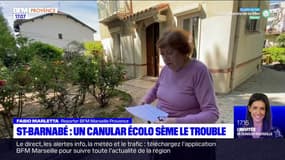 Marseille: le canular d'un groupe écologiste sème le trouble dans le quartier Saint-Barnabé