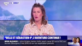 "Belle et Sébastien 4", l'aventure continue ! - 25/08