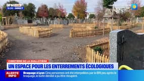 Lyon : un espace pour les enterrements écologiques