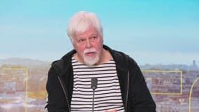 Paul Watson sur le plateau de BFMTV le dimanche 28 septembre