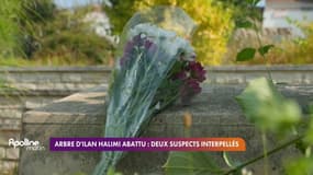 Arbre pour Ilan Halimi abattu: deux suspects ont été interpellés et jugés en comparution immédiate